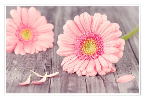 Nicola Johnson Occupational Therapy